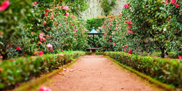 Parceiro do Brasil transforma estacionamentos em jardins para aliviar calor das cidades