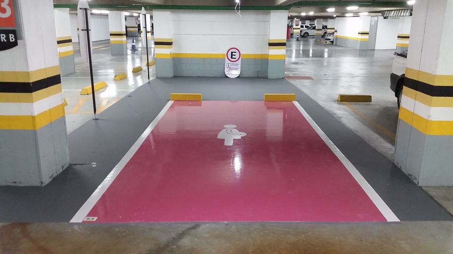 Comissão de Viação e Transportes da Câmara aprova vagas exclusivas de gestantes em estacionamentos